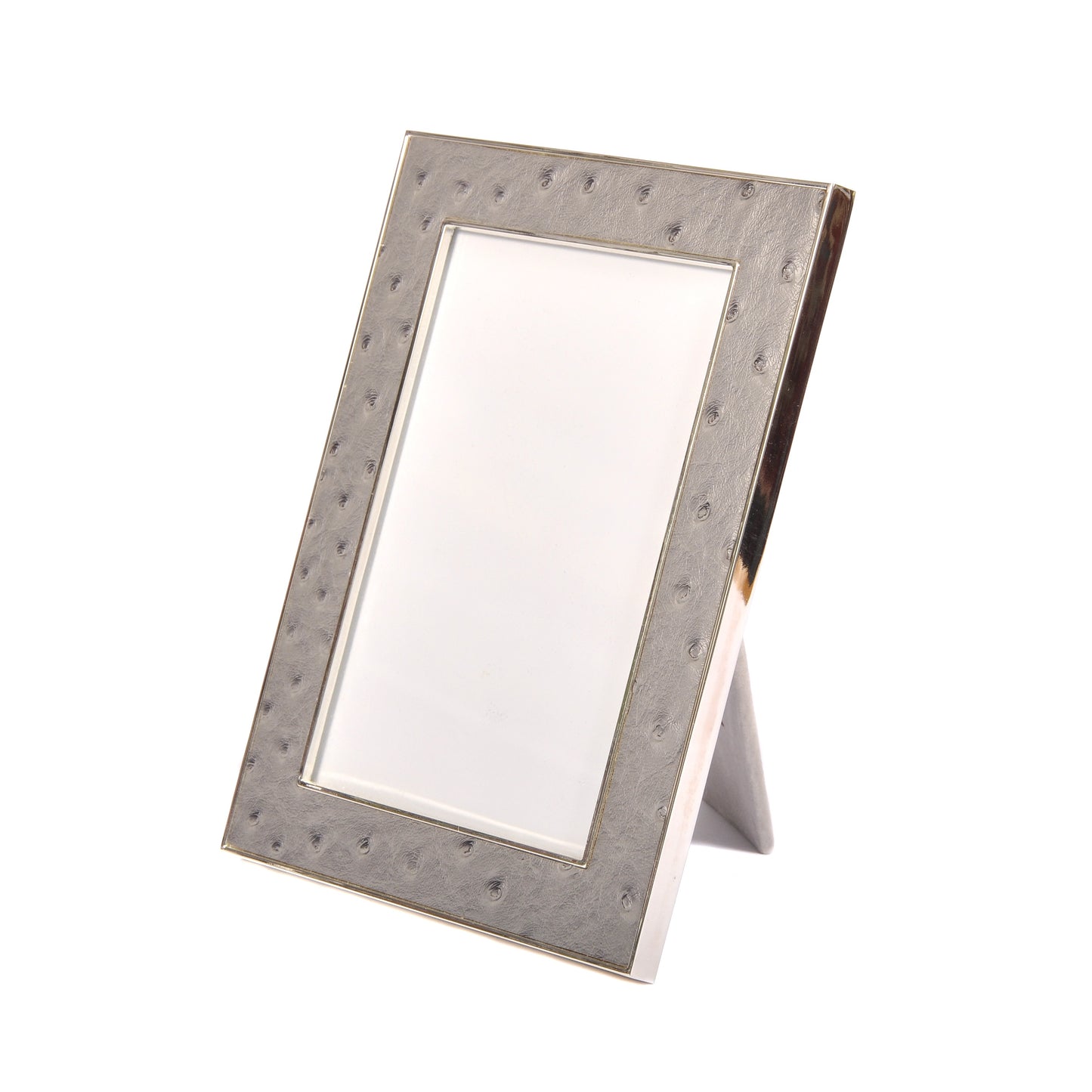 Urban Ostrich Photo Frame 5x7 Joanna Wood Shop