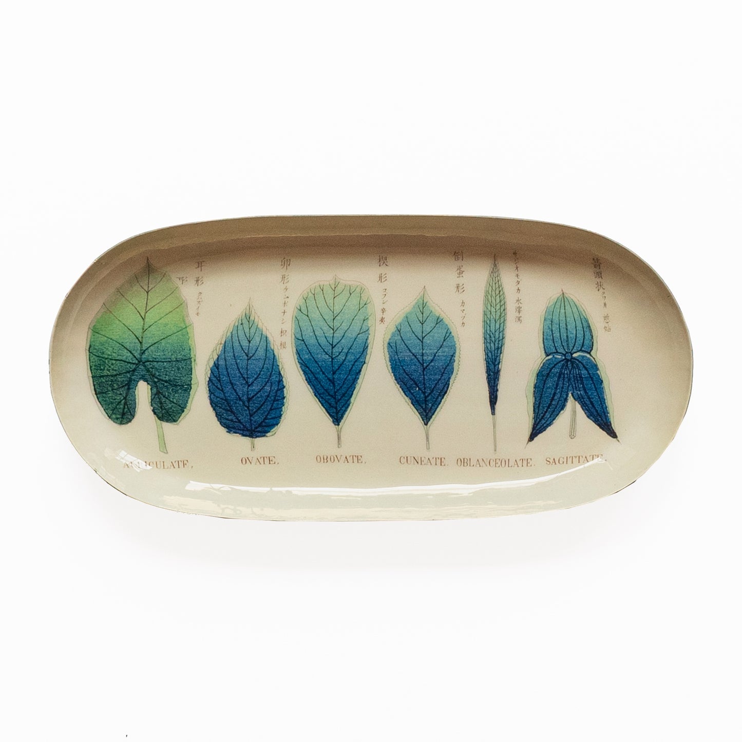 Leaf Design Enamel Tray Not specified