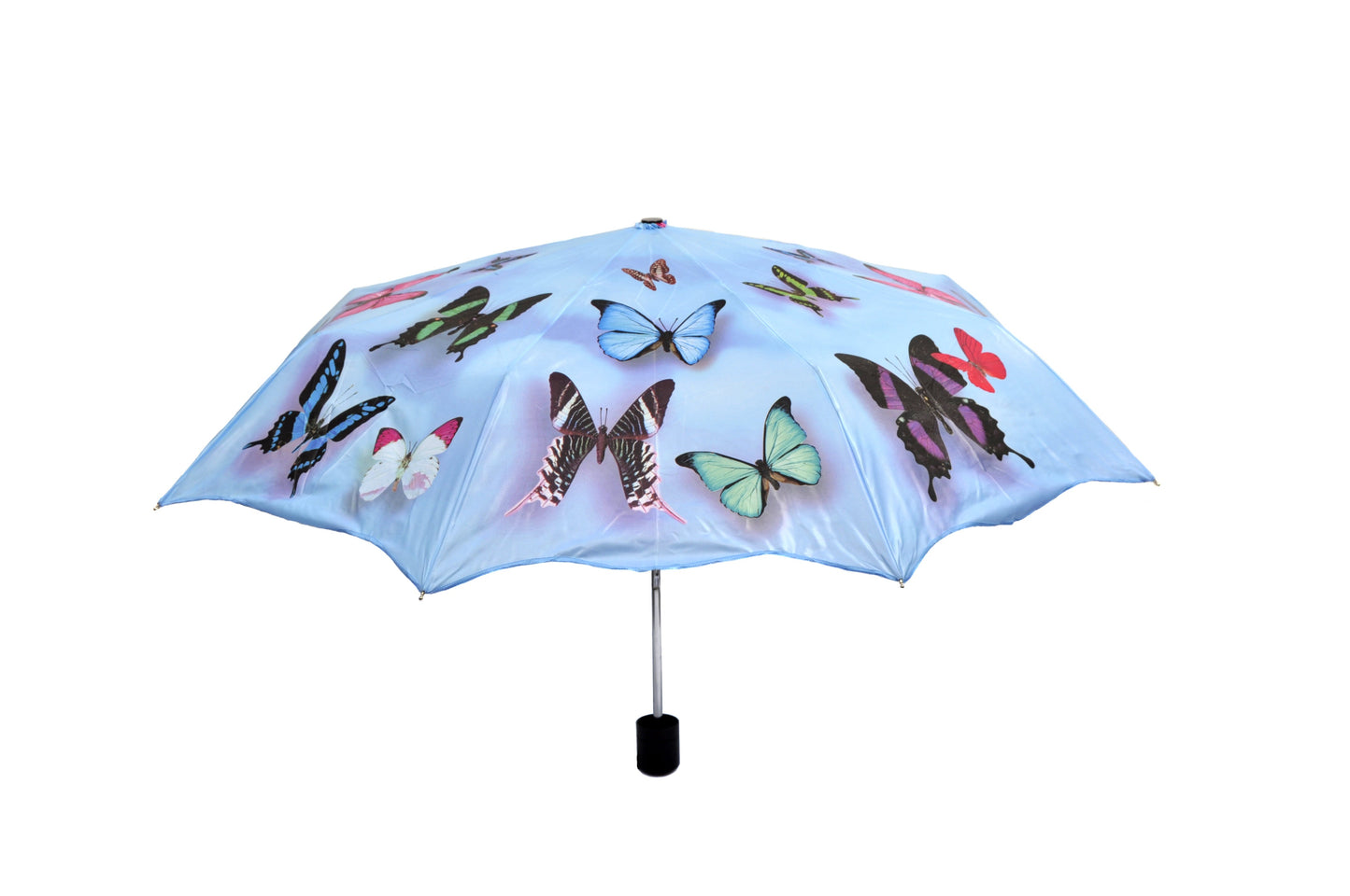 Butterfly Folding Umbrella Joanna Wood Shop
