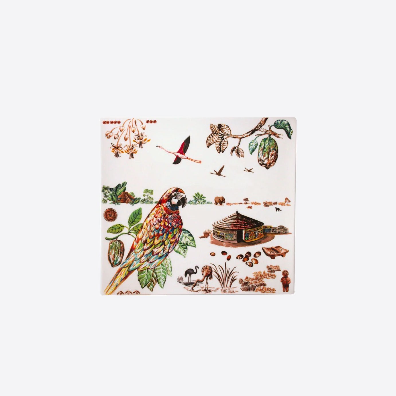 square plate with hand painted parrot design
