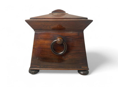 William IV Rosewood Tea Caddy Joanna Wood Shop