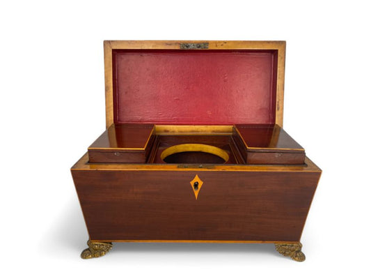 Regency Mahogany and Satinwood Sarcophagus Tea Caddy Joanna Wood Shop