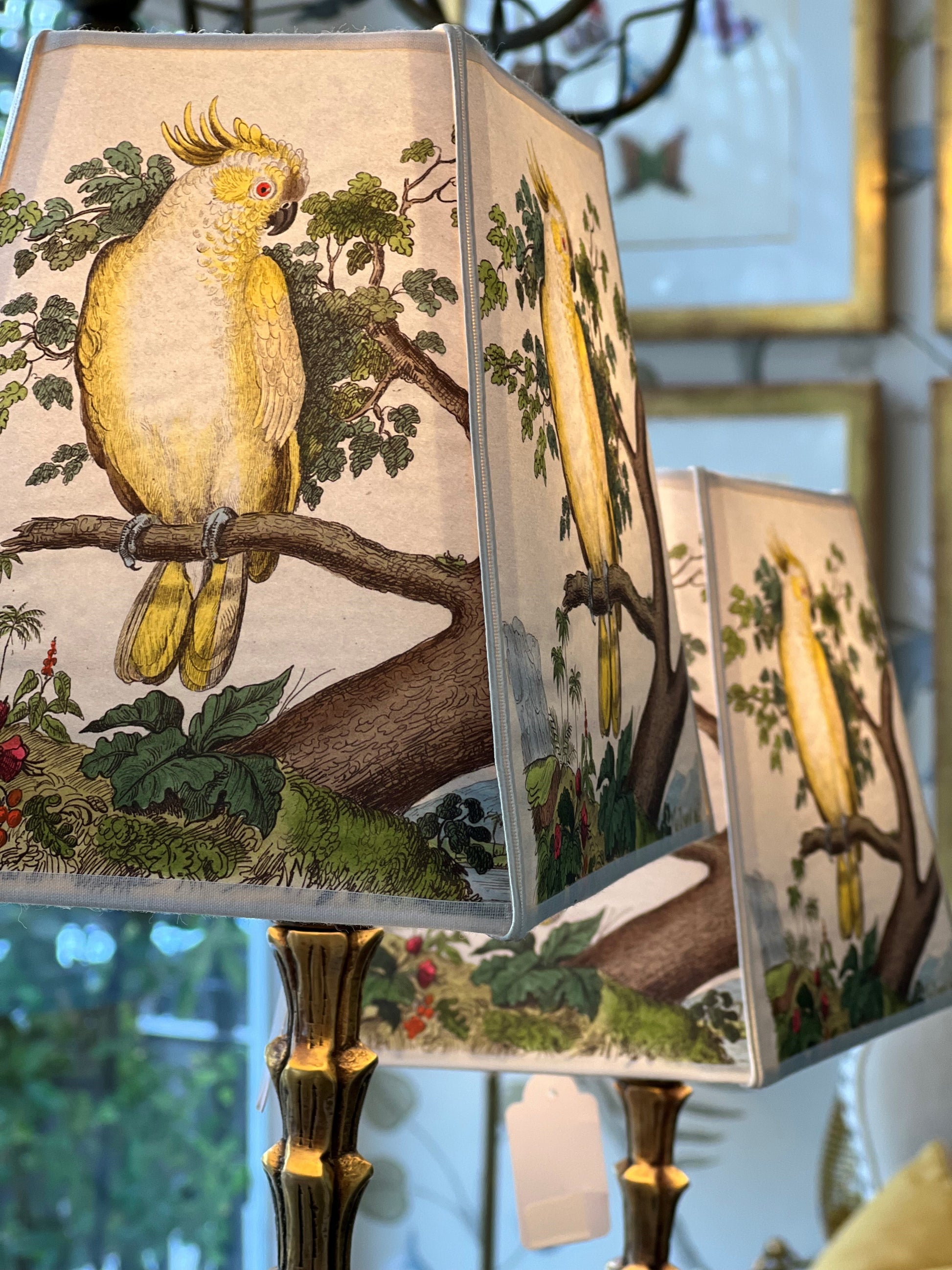 Yellow Parrot Small Rectangle Lampshade Joanna Wood Shop