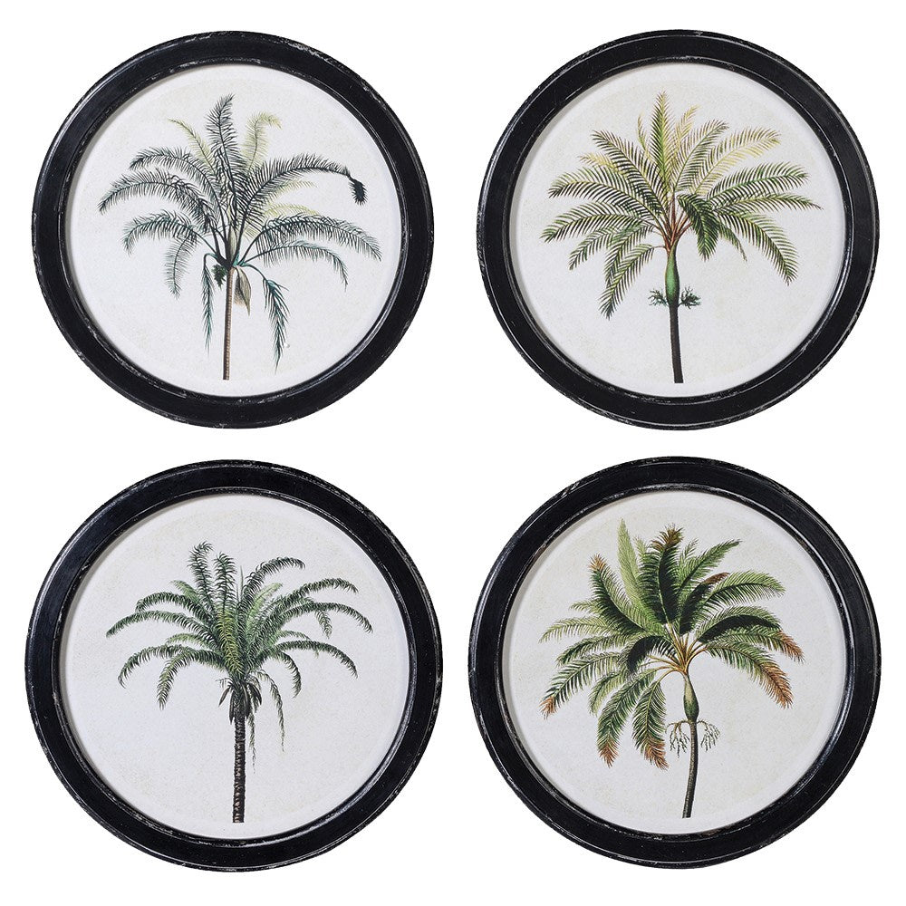 Set of 4 Palm Pictures Joanna Wood Shop