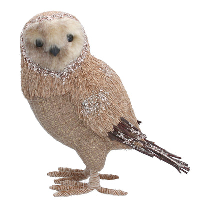 Bristle Hessian Owl Not specified