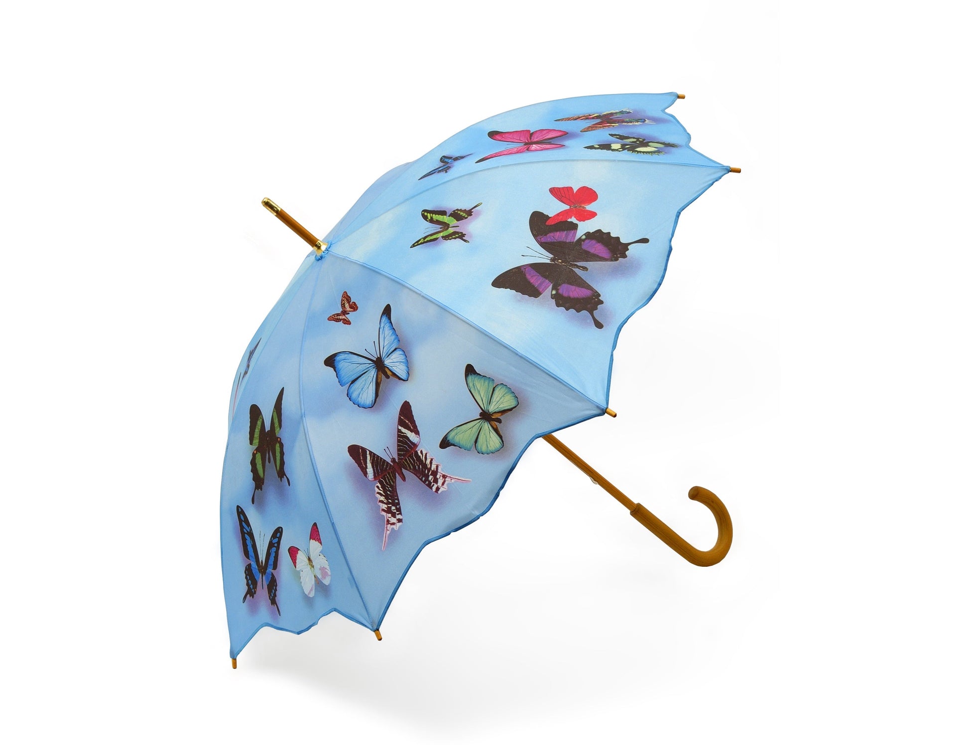 Butterfly Umbrella Joanna Wood Shop